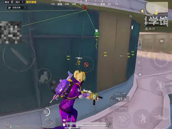 和平精英紫色的标是什么